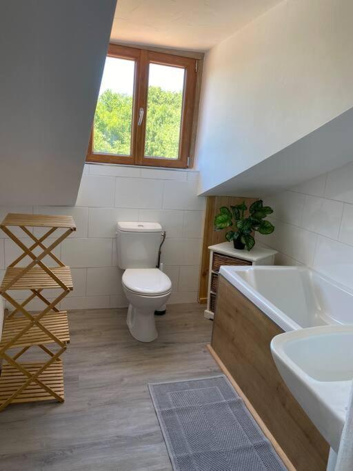 Champagnac-la-Rivière Spacious 1 Bed Home With Shared Pool מראה חיצוני תמונה